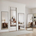 Suidia 48"x14" Full Length Mirror - Over Door & Wall Mounted