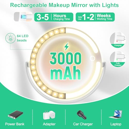 20X/1X LED Makeup Mirror with Lights & Phone Holder