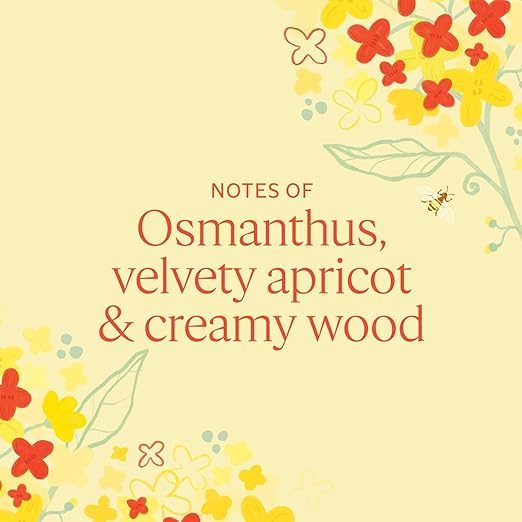 L'OCCITANE Hand Cream Set – 8 Travel-Size Moisturizing Tubes