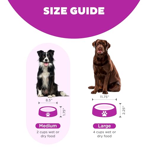 Outward Hound Fun Feeder Slo Bowl, Slow Feeder Dog Bowl, Medium/Mini, Purple