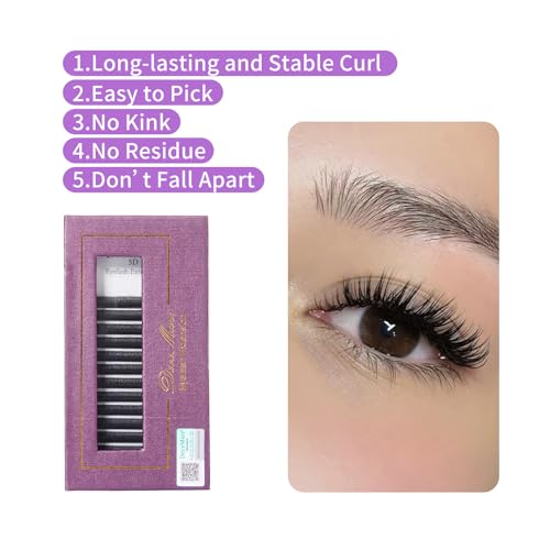 DeceMars 5D W Eyelash Extensions 0.07mm 14mm 1320 Fans
