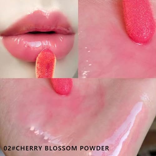 5-Color Tinted Lip Gloss Oil Set - Hydrating Plumping Lip Care Kit
