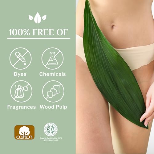 Organyc Organic Cotton Thong Panty Liners, 24 Count