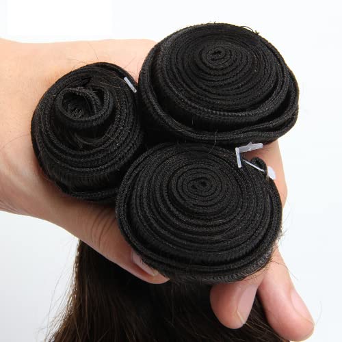 Fridnae Ombre Brown #1B30 Body Wave Human Hair Bundles 24-28 Inch Set