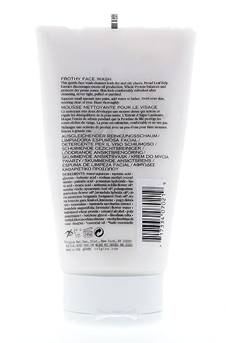 Origins Checks and Balances Frothy Face Wash 5oz, 150ml Skincare Cleansers