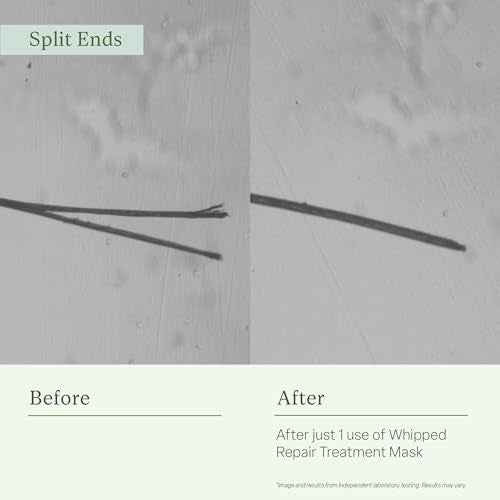 Divi Whipped Repair Hair Treatment Mask Deep Conditioning Hair Mask for Dry, Damaged, and Color-Treated Hair