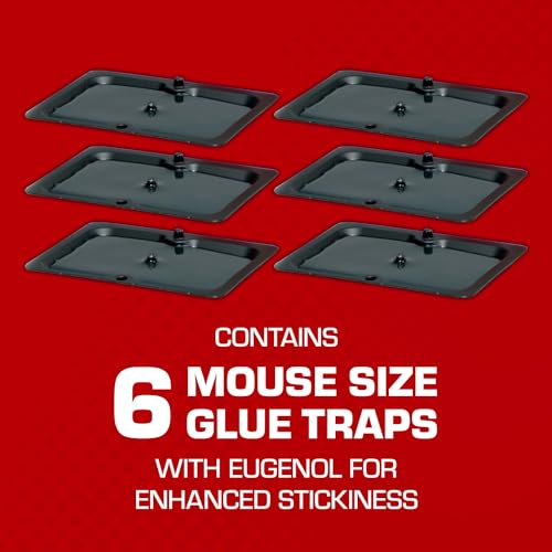 Tomcat Glue Traps Mouse Size with Eugenol for Enhanced Stickiness, Contains 6 Mouse Size Glue Traps - Captures Mice and Other Household Pests - Professional Strength, Pesticide-Free and Ready-to-Use