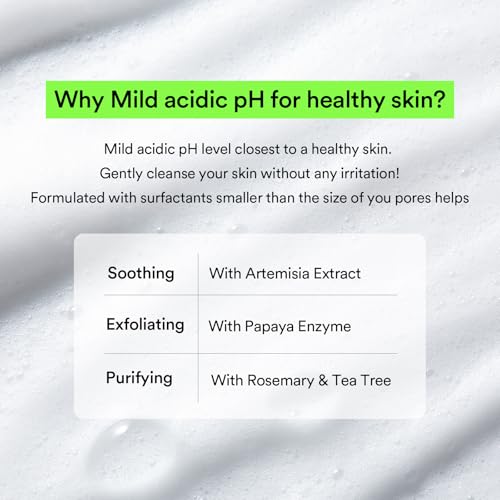 Abib Mild Foam Cleanser Heartleaf Foam 5.07 fl.oz