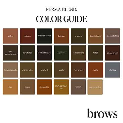 Perma Blend - Eyebrow Dark Pigments Tattoo Kit - Microblading Ink for Permanent Eyeliner - Professional Tattoo Ink - Warm & Cool Dark Brown Tattoo Ink (0.5 oz Each, 4 Products)