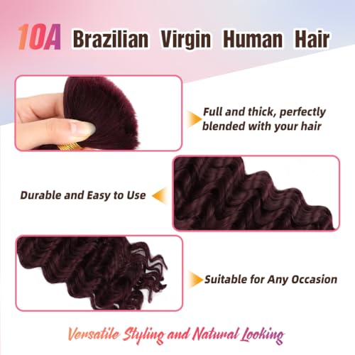 Human Braiding Hair, 3 Bundle 150g 16 Inch Boho Braids Human Hair 10A Deep Wave Bulk Brazilian Virgin No Weft Wavy Hair Extension for Boho Knotless Bohemian Micro Braid Bulk for Braiding 99J