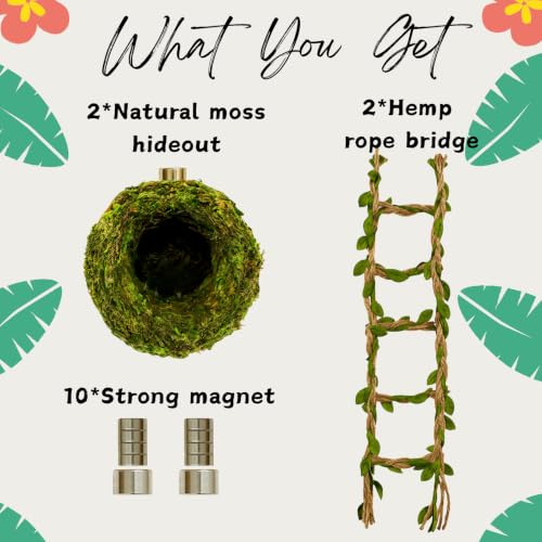 Jumping Spider Hideout & Rope Bridge Decor Set