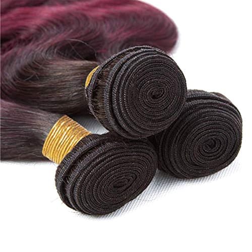 Virgin Hair Bundles 1B/99J Ombre Burgundy Body Wave 8-12 Inch