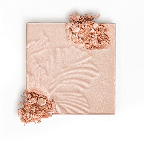 Wet n Wild Get Glowing Makeup Kit with Highlighter & Lip Gloss