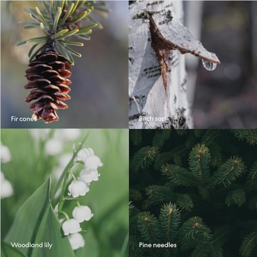 Skandinavisk SKOG ¡®Forest¡¯ Hand Body Lotion, Pine needles and fir cones, birch sap and woodland lily of the valley, 16.91 fl. oz.