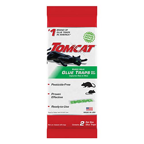 Tomcat Super Hold Glue Traps Mouse Size for Mice, Cockroaches, Spiders, and Scorpions, Ready-To-Use, 4 Traps