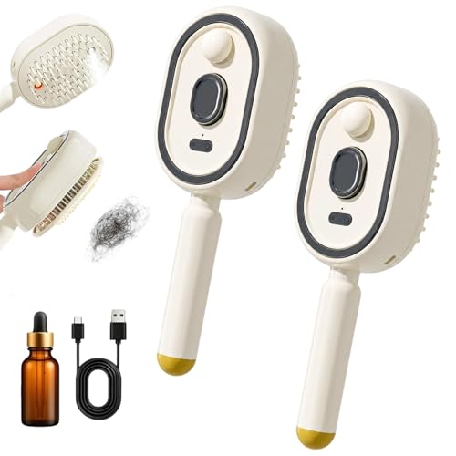 Electric Spray Massage Hair Brush, Rechargeable Detangling Steamer