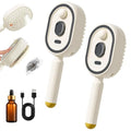 Electric Spray Massage Hair Brush, Rechargeable Detangling Steamer