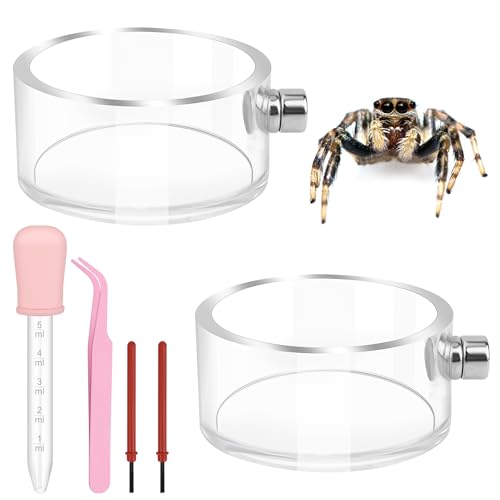 Jumping Spider Feeding Dish Set with Magnetic Water Bowl – 6 PCS
