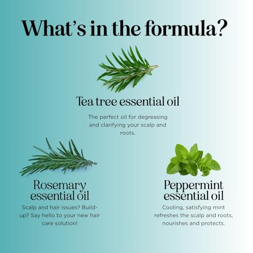 Rosemary Tea Tree Mint Shampoo for Dry Scalp