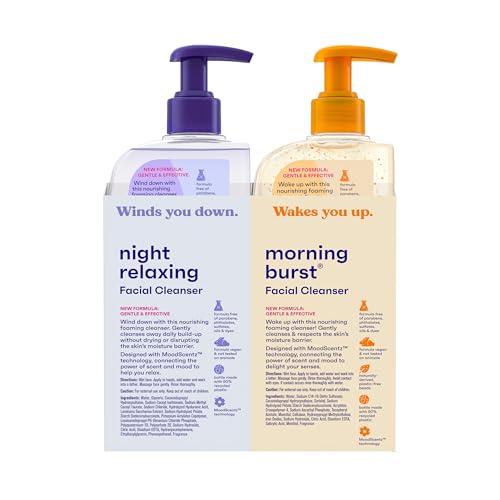 Clean & Clear 2-Pack Oil-Free Face Wash, 16 oz Total