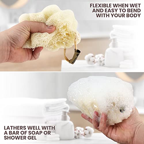 ALMOONI Natural Loofah Sponge 3-Pack | Egyptian Shower Scrubber