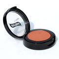 Graftobian Ultrasilk Matte Eye Shadow (Rare Earth)
