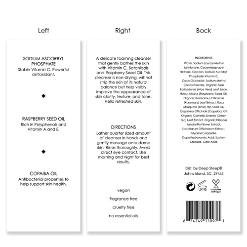 Deep Steep Vitamin C Face Cleanser, 7.8 oz ? Gentle Daily Wash with Green Tea, Raspberry Seed Oil, Aloe Vera, Rosehip Oil, Glycerin & Vitamin C ? Vegan, Clean Beauty Skincare, Hydrated Skin