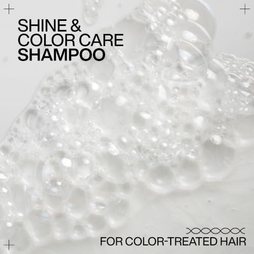 Redken Acidic Color Gloss Shampoo for Color-Treated Hair