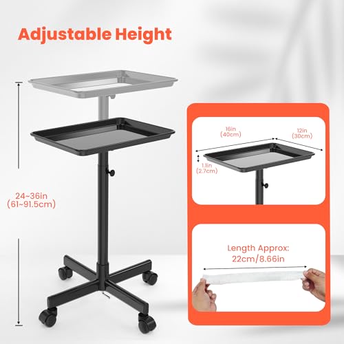Rolling Salon Tray with Wheels & Adjustable Height