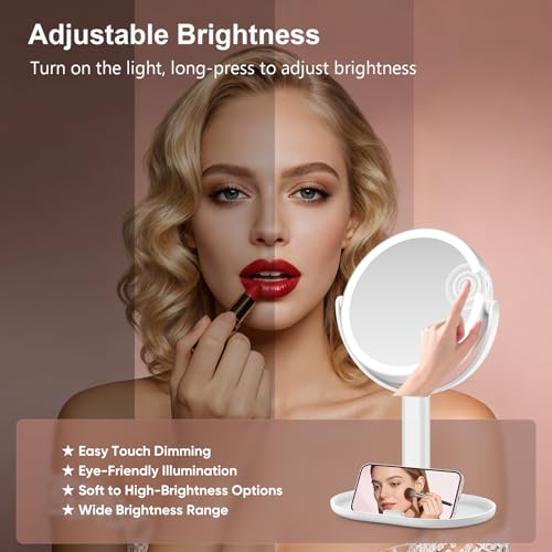 10X Magnifying Makeup Mirror with Lights, Rechargeable LED