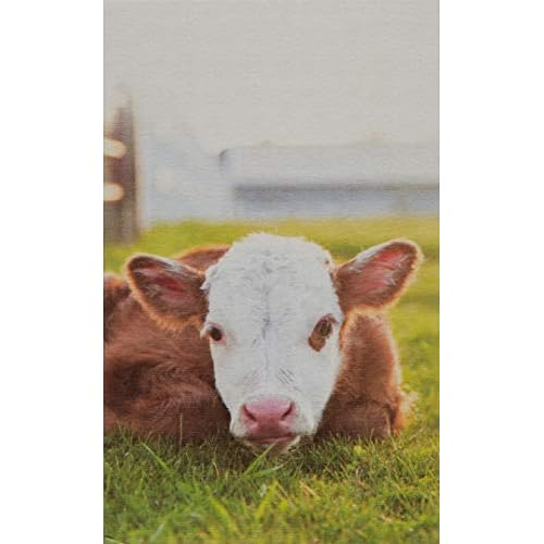 FarmHouse Fresh Citrine Beach Body Milk, 8 Fl Oz