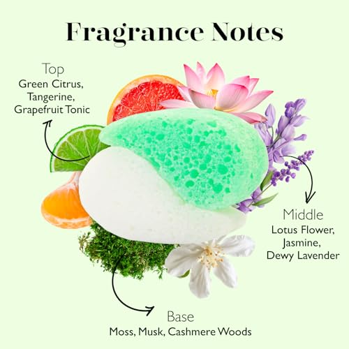 Spongellé Essentials Green Tea Bliss Mani/Pedi Exfoliating Scrub Buffer