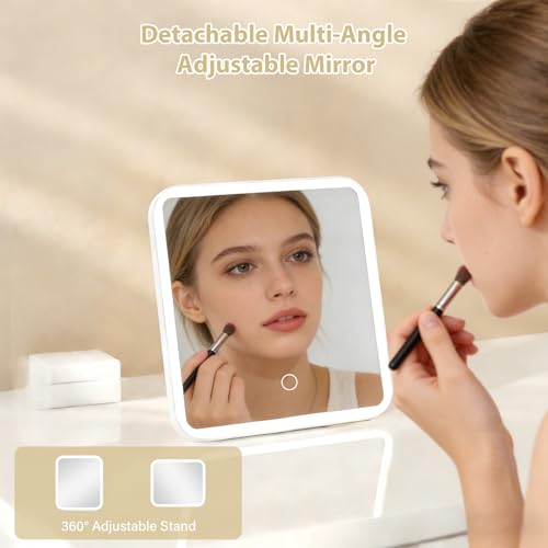 Travel Makeup Bag with Lighted Mirror, Adjustable Partition Makeup Travel Case, Adjustable Brightness in 3-Color Scene, Waterproof Makeup Train Case, Luminous Makeup Bag with Detachable Mirror, Pink