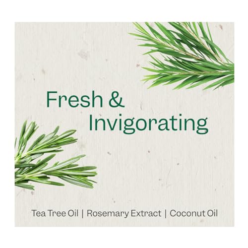Renpure Plant Based Tea Tree and Rosemary Refresh and Rebalance Shampoo - Soothes Dry Scalp - Delivers Moisture and Shine - Rids Hair of Grime - Dye Free - Recyclable, Pump Bottle Design - 24 fl oz