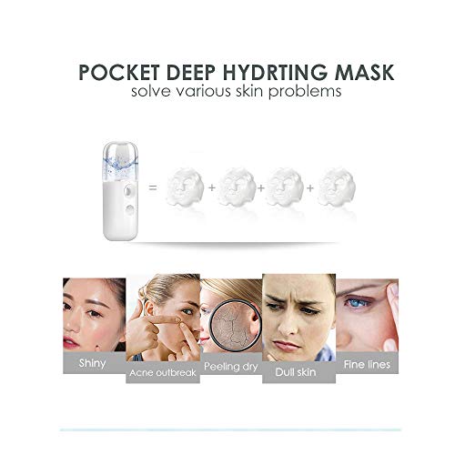 GIVERARE Nano Facial Steamer, USB Rechargeable Mist Sprayer 30ml