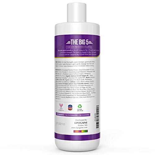 Lipogaine Big 5 Hair Stimulating All Natural Shampoo for Hair Thinning & Breakage (purple) (16oz)