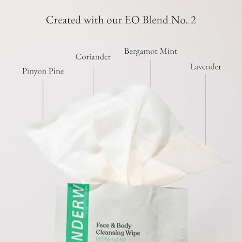 Essential Oil Blend No 2 Cleansing Wipes 10 Pack Travel Size Face & Body Wipes Alcohol Free Biodegradable Ultra Soft for Refreshing On the Go Cleansing