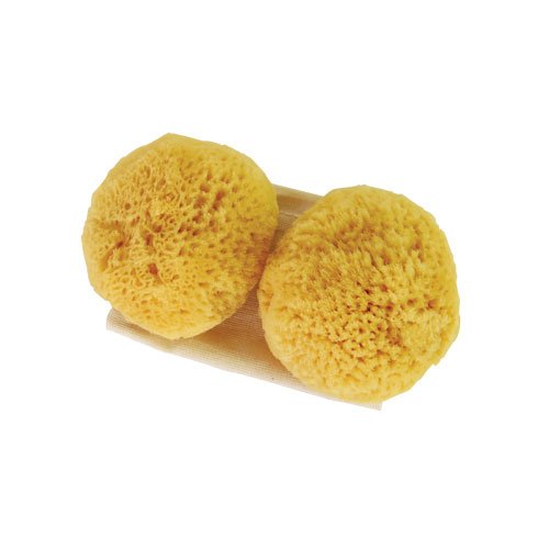 Sea Pearls- Reusable Natural Sea Sponges, Classic Medium 2 Count
