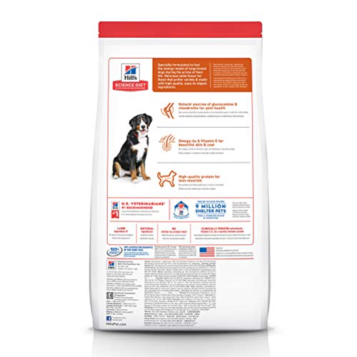 Hill's Science Diet Large Breed, Adult 1-5, Large Breed Premium Nutrition, Dry Dog Food, Lamb & Brown Rice, 33 lb Bag