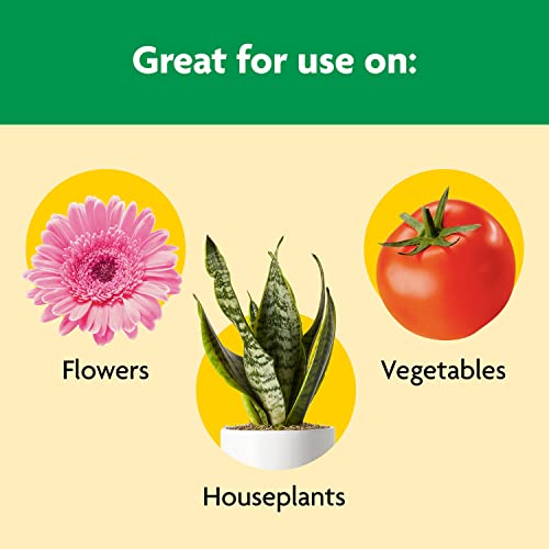 Miracle-Gro Shake 'N Feed All Purpose Plant Food 4.5 lb (3 Months) All Purpose
