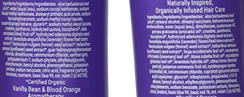 Loma Hair Care Violet Shampoo Violet Conditioner Duo, 12 Fl Oz , 2 Count (Pack of 1)