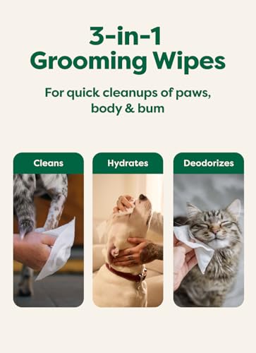 Unscented Earth Rated Dog Wipes 100ct - Gentle Paw & Body Grooming Wipes