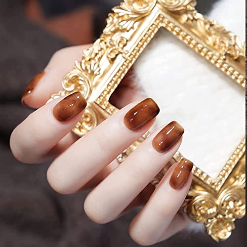 Omainy Jelly Gel Nail Polish Set,Brown Jelly Gel Polish Set,Translucent Gel Nail Polish,Crystal Jelly Clear Gel Nail Polish,Sheer Gel Nail Polish Set,Brown Fall Colors,Soak Off UV LED Nail Art CS6001