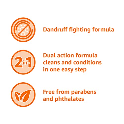 Classic 12.5 Fl Oz Anti-Dandruff 2-in-1 Shampoo & Conditioner - Itch Relief, Gentle & Paraben-Free