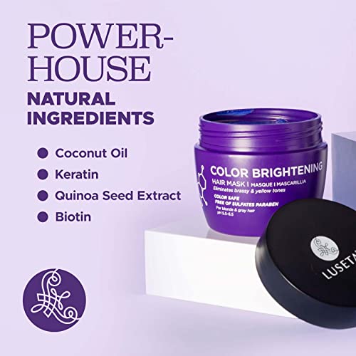 Luseta Purple Hair Mask for Blonde & Gray Hair 16.9oz