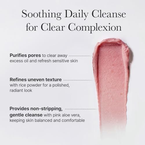 Arencia Rosehip Rice Mochi Brightening Face Cleanser & Scrub