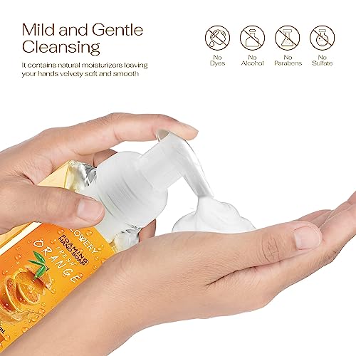 Lovery Foaming Hand Soap 10 Pack - All-Natural with Aloe Vera & Essential Oils