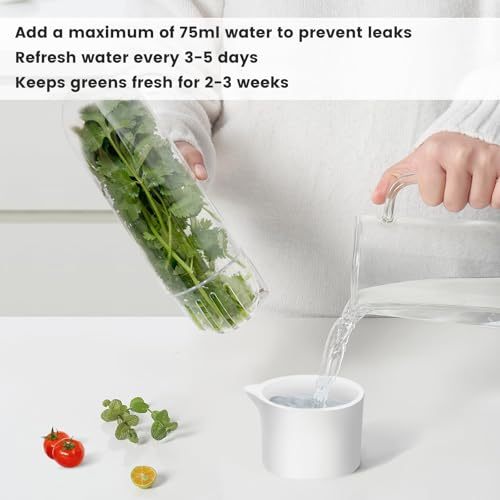 UEOZ 3PCS Herb Keeper for Refrigerator - Fresh Cilantro & Vegetable Storage Container Set