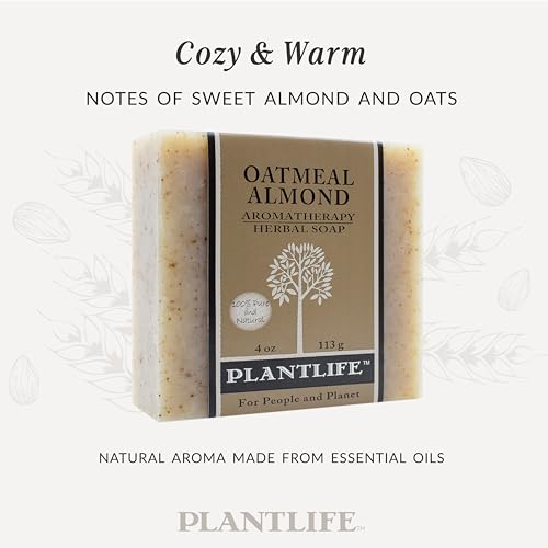 Plantlife Oatmeal Almond Bar Soap - Moisturizing and Soothing Soap for Your Skin - Hand Crafted Using Plant-Based Ingredients - Made in California 4oz Bar