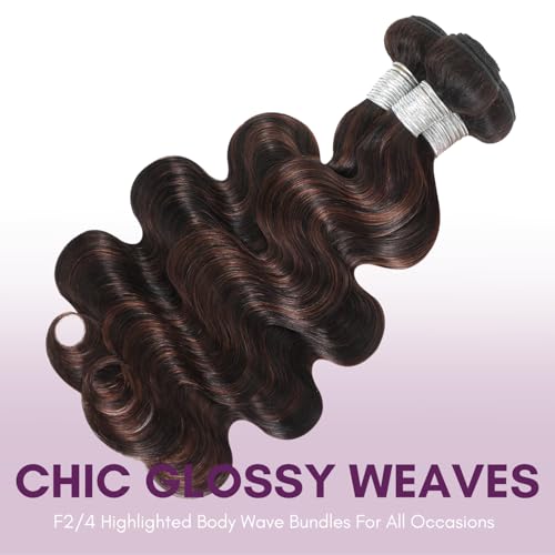 12A Brown Body Wave Bundles Human Hair 18 Inch, 100% Virgin Brazilian Real Hair Wavy Weave Color #F2/4 Rich Dark Brown with Chestnut Ombre Highlights Human Hair Single Bundles Thick Track Sew in